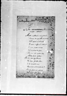 Fotogramma E 5