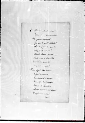 Fotogramma E 8