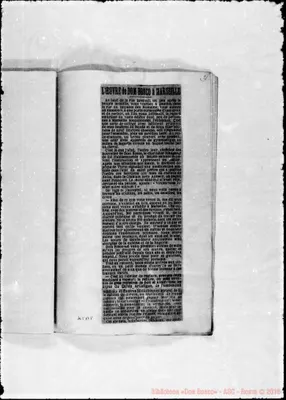 Fotogramma B 8