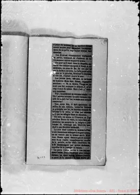 Fotogramma C 3