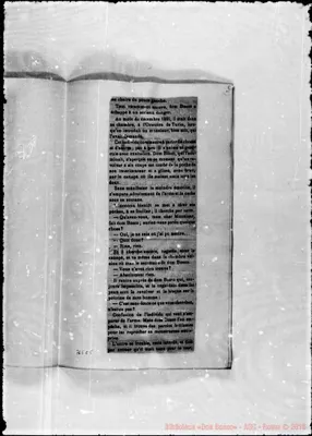 Fotogramma C 5