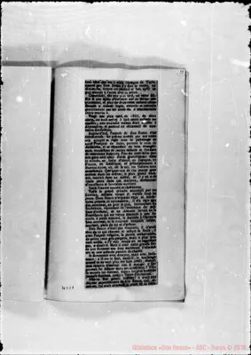 Fotogramma C 7