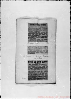 Fotogramma C 11