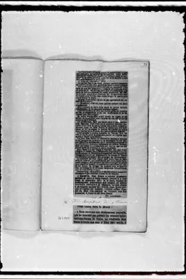 Fotogramma C 12