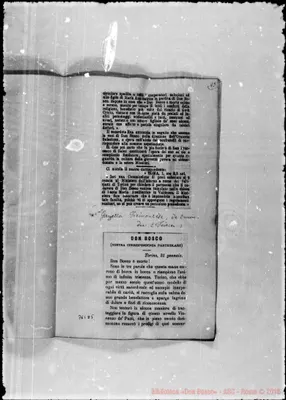 Fotogramma D 5