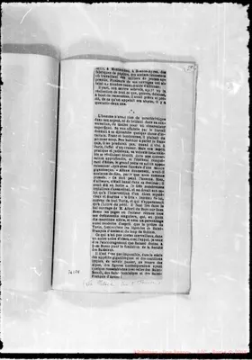 Fotogramma E 8
