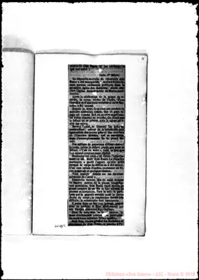 Fotogramma B 12