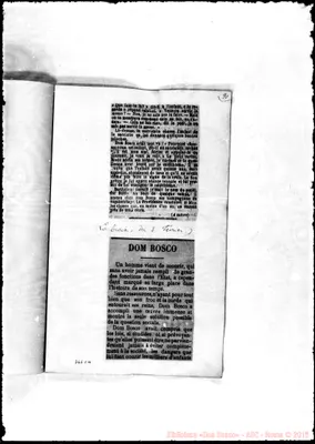 Fotogramma C 4