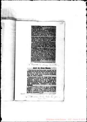 Fotogramma D 3