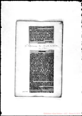 Fotogramma D 11