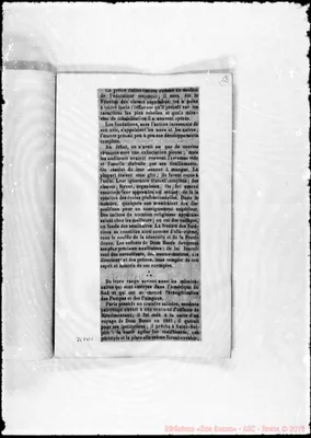 Fotogramma B 1