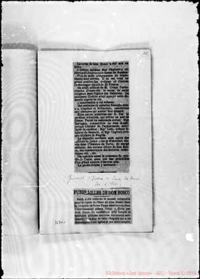 Fotogramma C 1
