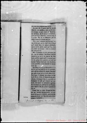 Fotogramma C 6