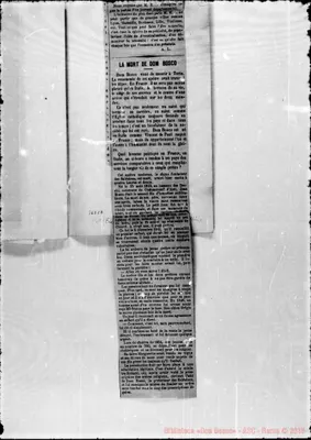 Fotogramma C 7