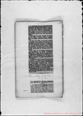 Fotogramma C 11