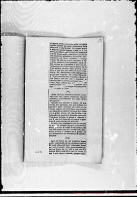 Fotogramma D 1