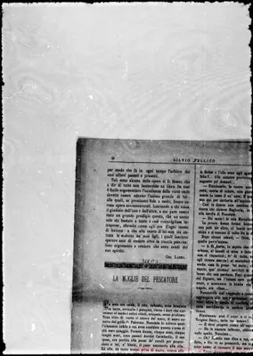Fotogramma B 3