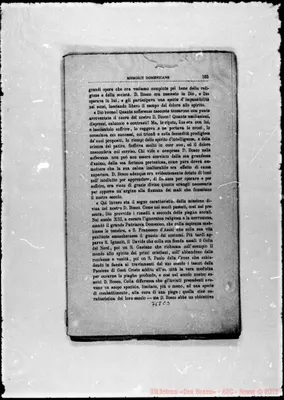Fotogramma C 3