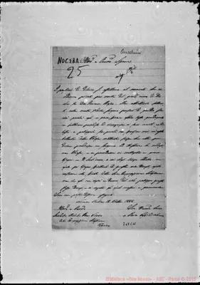 Fotogramma C 11
