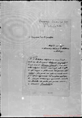 Fotogramma D 8