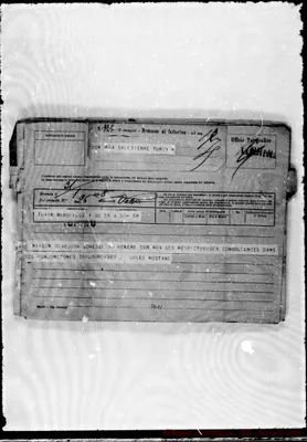 Fotogramma C 1
