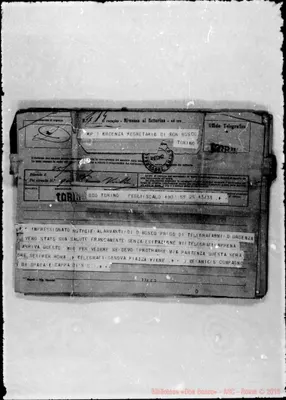 Fotogramma C 3