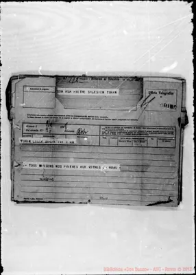 Fotogramma C 7