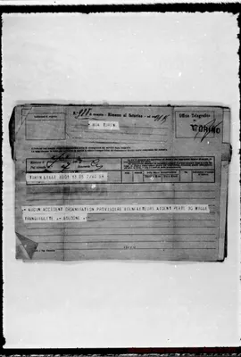 Fotogramma C 11