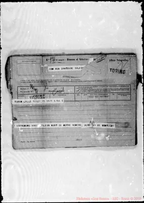 Fotogramma D 1