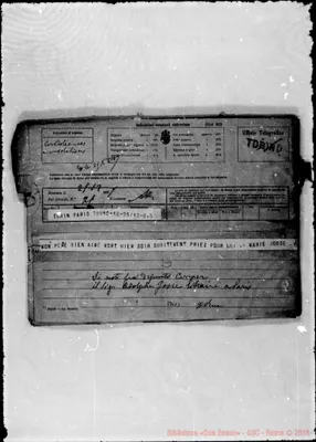 Fotogramma D 3