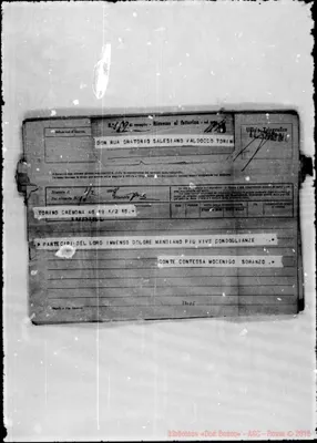 Fotogramma D 5