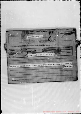 Fotogramma D 6
