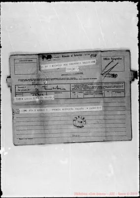 Fotogramma D 10