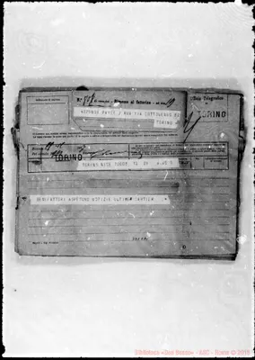 Fotogramma C 2