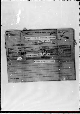 Fotogramma D 5