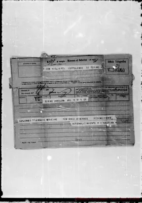 Fotogramma D 8