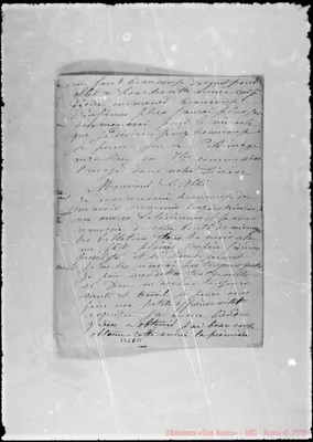 Fotogramma D 11