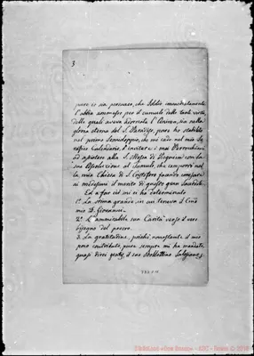 Fotogramma C 11