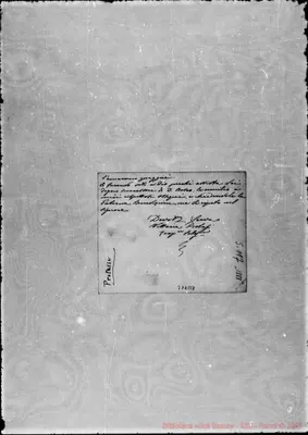 Fotogramma B 8