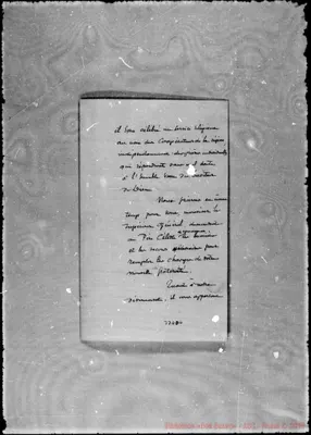 Fotogramma D 4