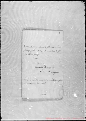 Fotogramma C 1
