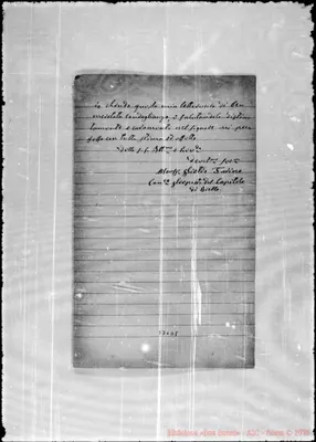 Fotogramma D 8