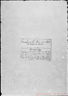 Fotogramma A 11