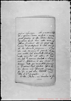 Fotogramma C 11