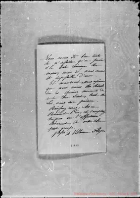 Fotogramma D 3
