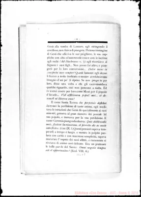Fotogramma D 7