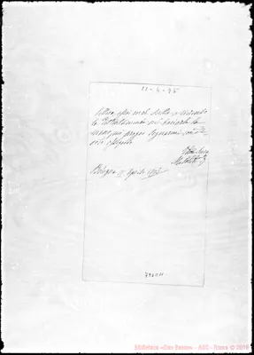 Fotogramma C 11