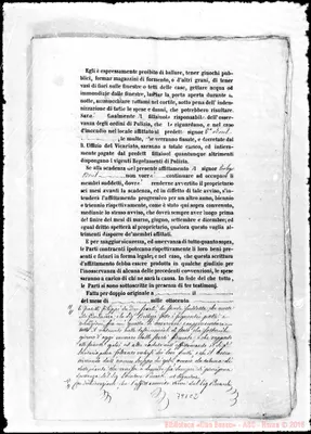 Fotogramma C 2