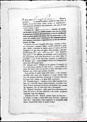 Fotogramma C 9