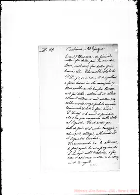 Fotogramma D 7